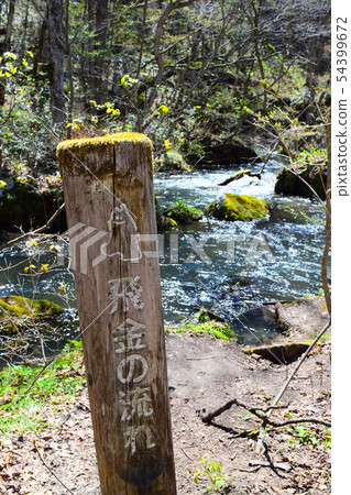 Oirase stream 54399672