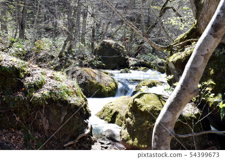 Oirase stream 54399673