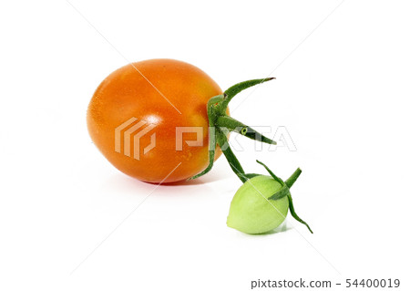 Tomato (depth composition) 54400019