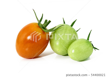 Tomato (depth composition) 54400021