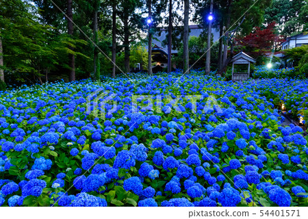 繡球寺Unganji寺 54401571