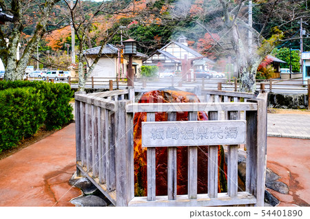 Kinosaki Onsen Motoyu (2013) 54401890