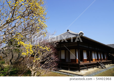 March Mito 13 Hiromichikan, the main office and Sanshuyu 54401968