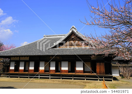March Mito 10 Hiromichikan / Main Office和Hakumei March Mito 10 Hiromichikan / Main Office和Hakumei 54401971