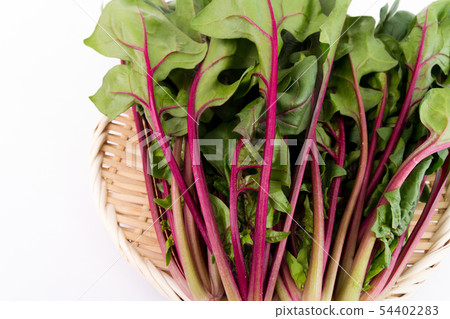 Red axis spinach 54402283