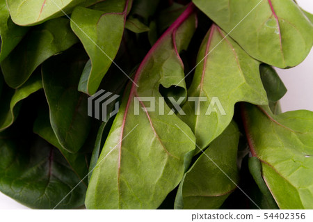 Red axis spinach 54402356