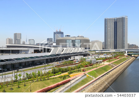 Toyosu Market 54403037