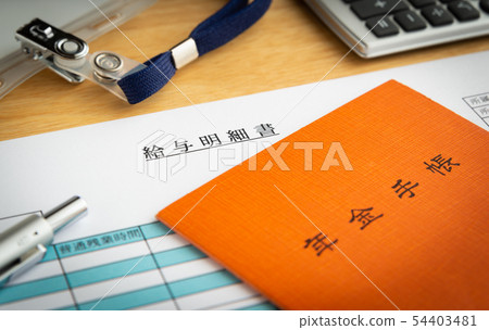 Salary statement Salary Pension Pension pension premium Working old age pension 54403481