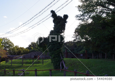 Forest erosion 54404080