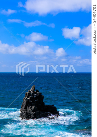 Sakyo-no-Shin [Sanuki City, Nagasaki Prefecture] 54404701