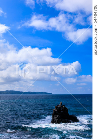 Sakyo-no-Shin [Sanuki City, Nagasaki Prefecture] 54404706