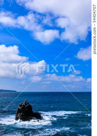 Sakyo-no-Shin [Sanuki City, Nagasaki Prefecture] 54404707