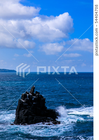 Sakyo-no-Shin [Sanuki City, Nagasaki Prefecture] 54404708