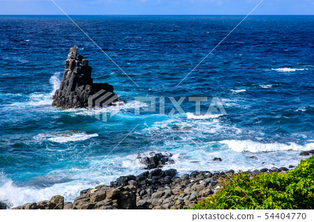 Sakyo-no-Shin [Sanuki City, Nagasaki Prefecture] 54404770