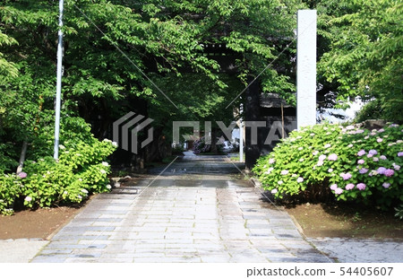 雨後的廟門 54405607