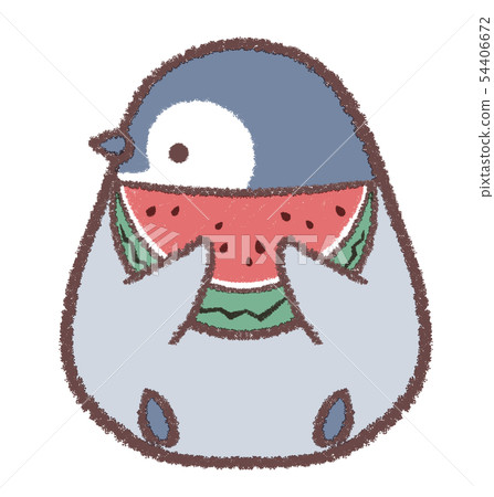 Penguin chicks watermelon sideways 54406672