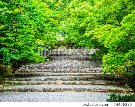Kyoto Nizenin in spring Kyoto Nizenin in spring 54406880