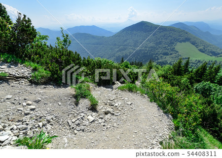 The descent in Vratna valley in the Mala Fatra 54408311