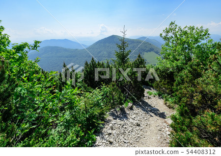 The walkway in Vratna valley in the Mala Fatra The walkway in Vratna valley in the Mala Fatra 54408312
