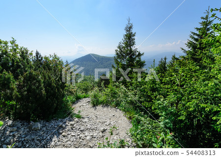 The path in Vratna valley in the Mala Fatra park.  54408313