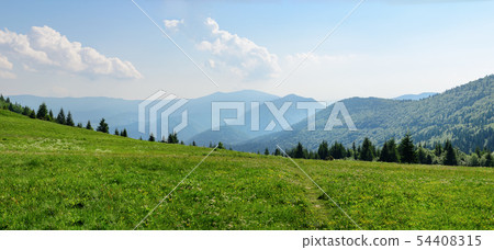 Panorama of the meadows in the national park Mala 54408315