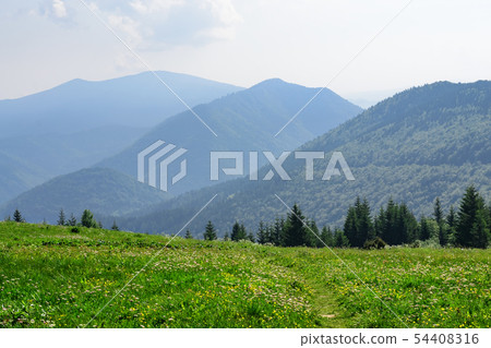 The meadows in The Vratna valley 54408316