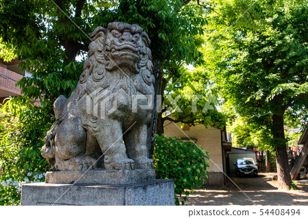 東京中野區的Arai Tenjin：北野神社的鳥居的柴犬 54408494