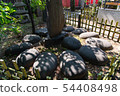Arai Tenjin in Nakano-ku, Tokyo: Rikiishi in Kitano Shrine 54408498