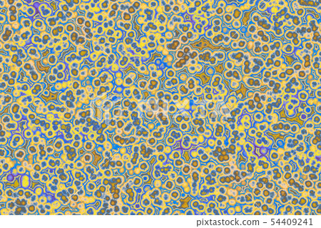 Shape of bacterial cell 54409241