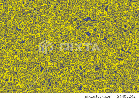 Shape of bacterial cell 54409242