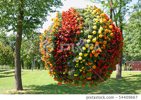 Ball of flowers Ball of flowers 54409667