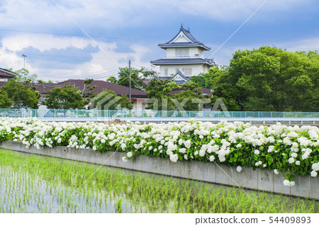 Annabelle and the castle 54409893