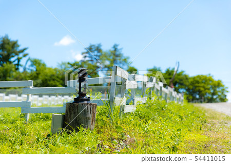 夏天山陣營籬芭燈 夏天山陣營籬芭燈 54411015