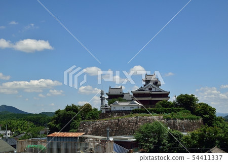 Fukuchiyama Castle seen from Karasuma Park in Fukuchiyama City, Kyoto Prefecture 54411337