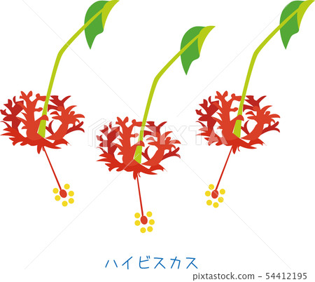 奄美花芙蓉風鈴型 54412195