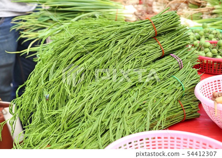 Acacia pennata at the market 54412307