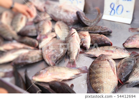 fresh fish in the market 54412694