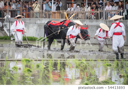 Sumiyoshi Taisha Mita Uejin 54413893