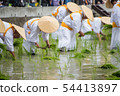Sumiyoshi Taisha Mita Uejin 54413897
