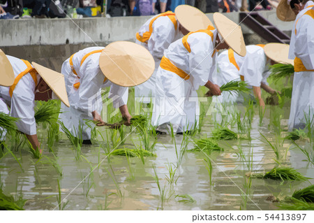 Sumiyoshi Taisha Mita Uejin Sumiyoshi Taisha Mita Uejin 54413897