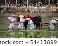 Sumiyoshi Taisha Mita Uejin 54413899