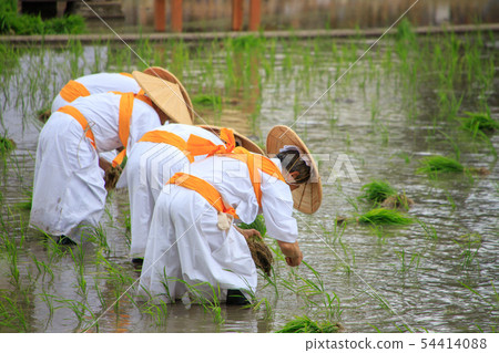 Sumiyoshi Taisha Mita Uejin Sumiyoshi Taisha Mita Uejin 54414088