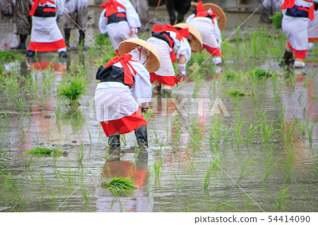 Sumiyoshi Taisha Mita Uejin Sumiyoshi Taisha Mita Uejin 54414090