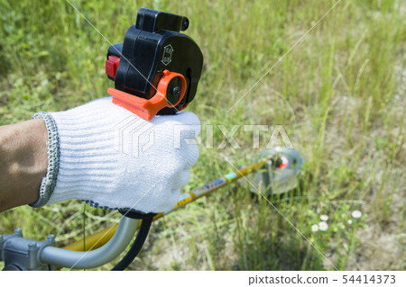 除草圖像，除草圖像 54414373