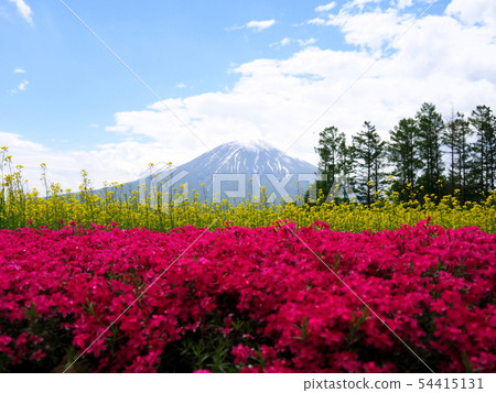 Kutchan鎮的Yotei和Shizakura花園 Kutchan鎮的Yotei和Shizakura花園 54415131