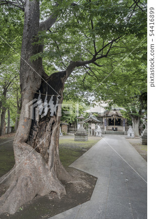 Sugiyama Shrine / Tobe Sugiyama Shrine Okami (Yokohama City Nishi Ward Central) 54416899