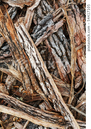 Chips of tree bark on the ground. Sawmill. Chips of tree bark on the ground. Sawmill. 54417105
