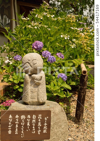 在京都府福知山市觀音寺 在京都府福知山市觀音寺 54417169