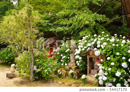 在京都府福知山市觀音寺 在京都府福知山市觀音寺 54417170