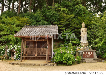 在京都府福知山市觀音寺 在京都府福知山市觀音寺 54417172